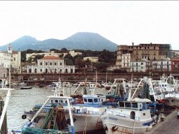 Il Vesuvio e il porto